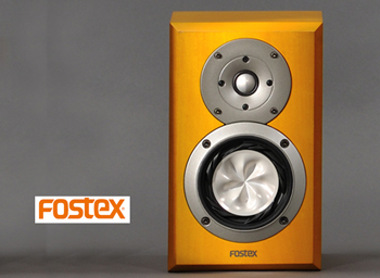 FOSTEX GX100-350.jpg
